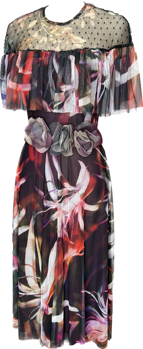Strokes Sheer Dress - Petit Pois by Viviana G